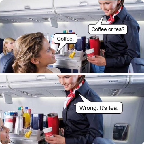 Air Hostess | image tagged in air hostess,customer,coffee or tea,coffee,wrong it is tea | made w/ Imgflip meme maker