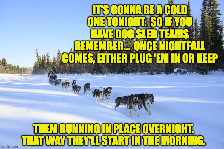 Dog Sled | IT'S GONNA BE A COLD ONE TONIGHT.  SO IF YOU HAVE DOG SLED TEAMS REMEMBER…  ONCE NIGHTFALL COMES, EITHER PLUG 'EM IN OR KEEP; THEM RUNNING IN PLACE OVERNIGHT.  THAT WAY THEY'LL START IN THE MORNING. | image tagged in dad joke | made w/ Imgflip meme maker