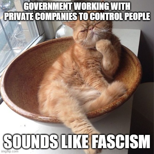 Wondering cat | GOVERNMENT WORKING WITH PRIVATE COMPANIES TO CONTROL PEOPLE SOUNDS LIKE FASCISM | image tagged in wondering cat | made w/ Imgflip meme maker
