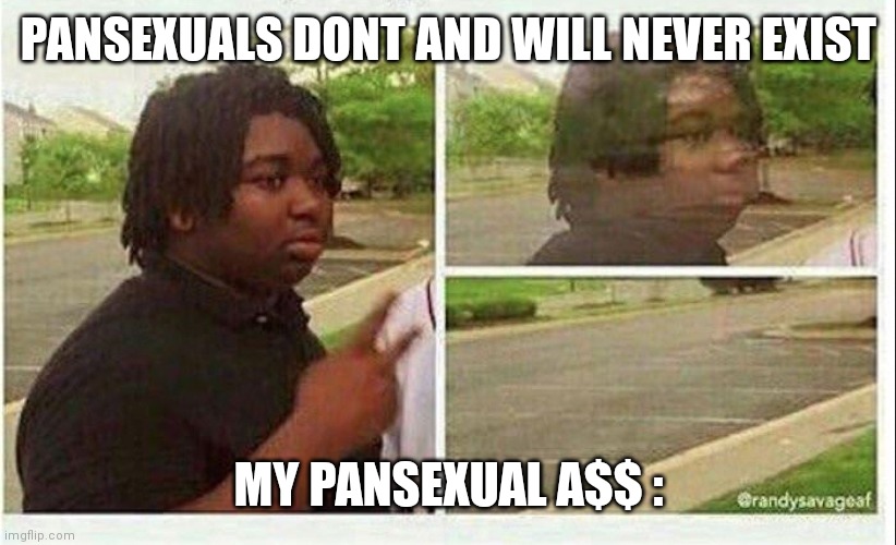 Im bored | PANSEXUALS DONT AND WILL NEVER EXIST; MY PANSEXUAL A$$ : | image tagged in black guy disappearing | made w/ Imgflip meme maker