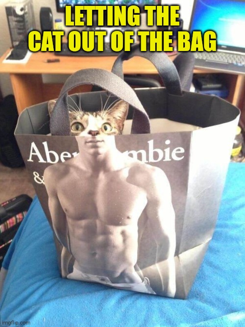 Abercrombie and Feline | LETTING THE CAT OUT OF THE BAG | image tagged in funny cats,shopping,bag,playtime,fun | made w/ Imgflip meme maker
