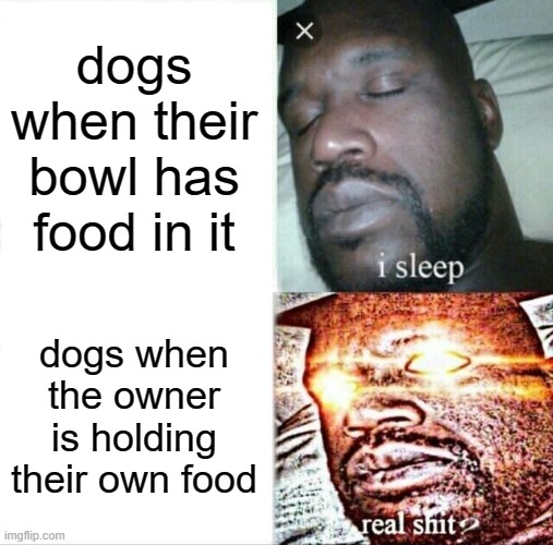free epic Zotz | dogs when their bowl has food in it; dogs when the owner is holding their own food | image tagged in memes,sleeping shaq | made w/ Imgflip meme maker