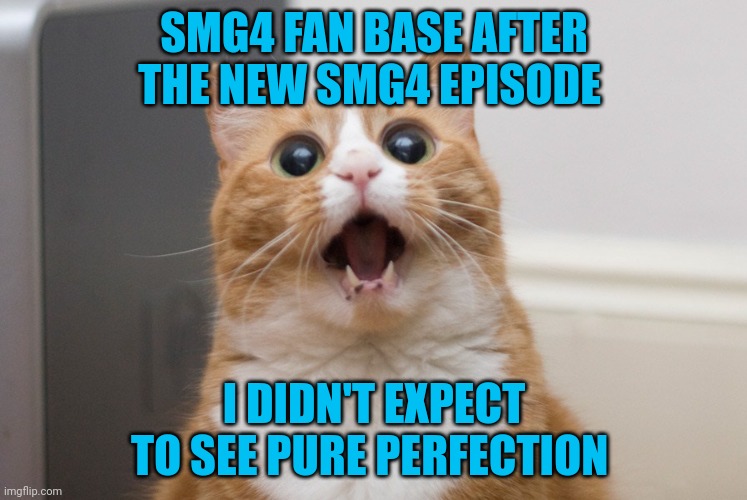 I wont spoil anything it's just that the episode was perfect | SMG4 FAN BASE AFTER THE NEW SMG4 EPISODE; I DIDN'T EXPECT TO SEE PURE PERFECTION | image tagged in amazed cat,smg4,spoiler | made w/ Imgflip meme maker