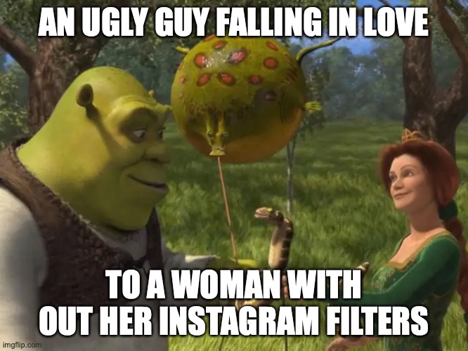 this is technically how the story of Shrek  would be in real life | AN UGLY GUY FALLING IN LOVE; TO A WOMAN WITH OUT HER INSTAGRAM FILTERS | image tagged in shrek,instagram,lol,memes,funny,hahahaha | made w/ Imgflip meme maker