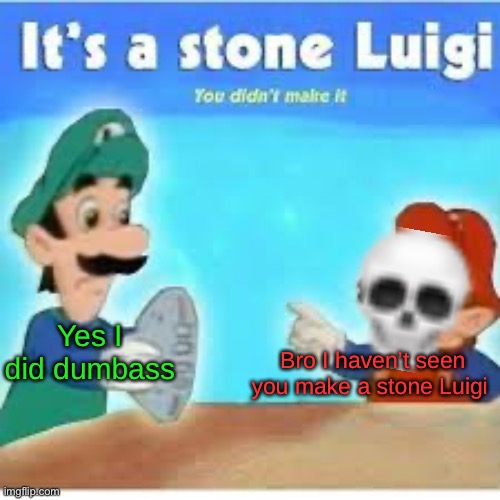 its a stone luigi | Bro I haven’t seen you make a stone Luigi; Yes I did dumbass | image tagged in its a stone luigi | made w/ Imgflip meme maker
