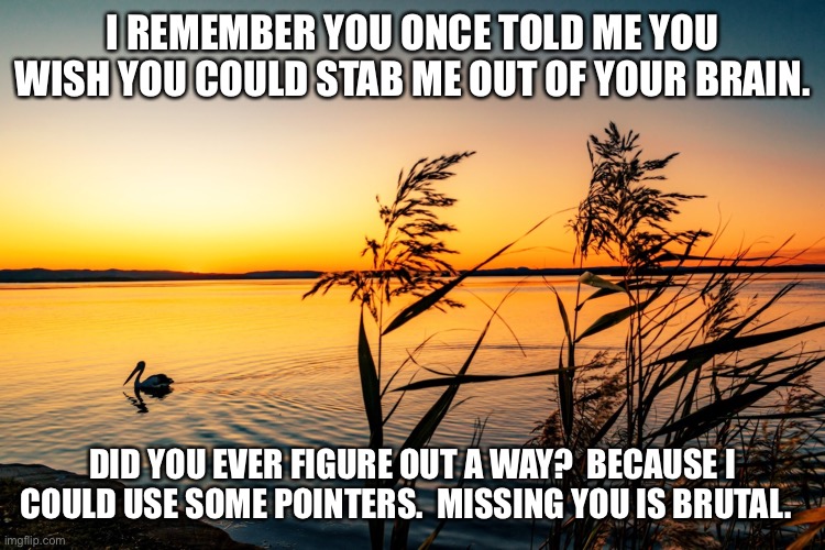 I REMEMBER YOU ONCE TOLD ME YOU WISH YOU COULD STAB ME OUT OF YOUR BRAIN. DID YOU EVER FIGURE OUT A WAY?  BECAUSE I COULD USE SOME POINTERS.  MISSING YOU IS BRUTAL. | made w/ Imgflip meme maker