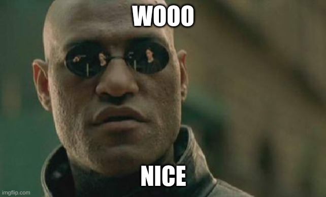 Matrix Morpheus Meme | WOOO; NICE | image tagged in memes,matrix morpheus | made w/ Imgflip meme maker