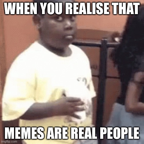 Bruh | WHEN YOU REALISE THAT; MEMES ARE REAL PEOPLE | image tagged in lol | made w/ Imgflip meme maker
