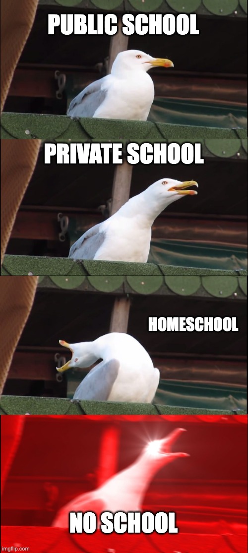 Inhaling Seagull | PUBLIC SCHOOL; PRIVATE SCHOOL; HOMESCHOOL; NO SCHOOL | image tagged in memes,inhaling seagull | made w/ Imgflip meme maker