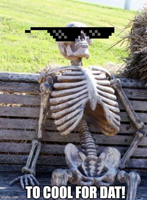 Waiting Skeleton Meme | TO COOL FOR DAT! | image tagged in memes,waiting skeleton | made w/ Imgflip meme maker
