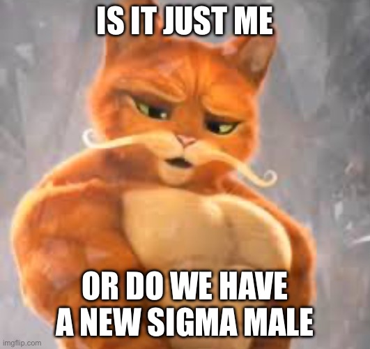 SIGMA | IS IT JUST ME; OR DO WE HAVE A NEW SIGMA MALE | image tagged in buff puss in boots | made w/ Imgflip meme maker