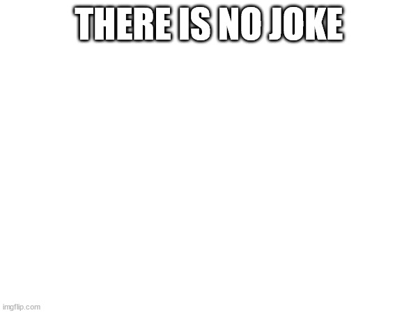 THERE IS NO JOKE | image tagged in nil | made w/ Imgflip meme maker