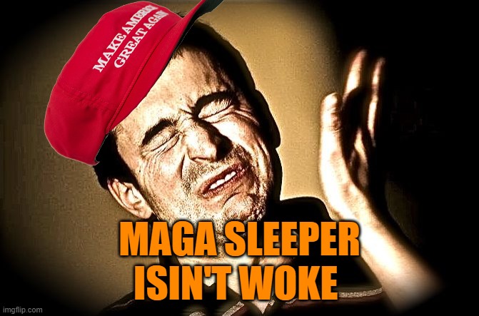 face slap | MAGA SLEEPER 
ISIN'T WOKE | image tagged in face slap | made w/ Imgflip meme maker