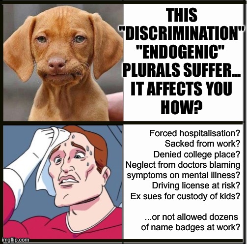 The sense of entitlement behind false claims of discrimination by endogenic plurals (eg demands to join DID spaces without DID) | THIS
"DISCRIMINATION"
"ENDOGENIC" 
PLURALS SUFFER...
IT AFFECTS YOU
HOW? Forced hospitalisation?
Sacked from work?
Denied college place?
Neglect from doctors blaming
  symptoms on mental illness?
Driving license at risk?
Ex sues for custody of kids?
 
...or not allowed dozens 
  of name badges at work? | image tagged in explain this 2 panel,dissociative identity disorder,osdd,endogenic,plural,endos | made w/ Imgflip meme maker