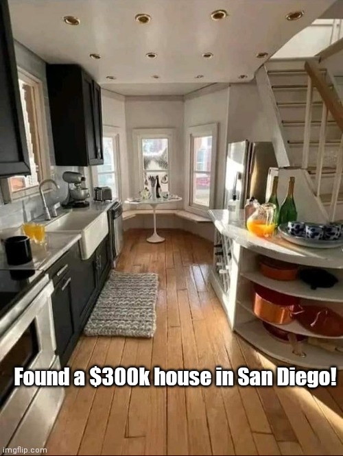 Cat's eye view | Found a $300k house in San Diego! | image tagged in funny | made w/ Imgflip meme maker