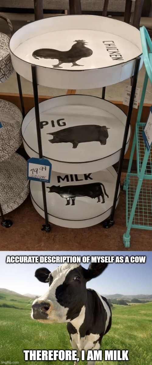 Seems legit tho | ACCURATE DESCRIPTION OF MYSELF AS A COW; THEREFORE, I AM MILK | image tagged in cow,milk,seems legit,you had one job,memes,cows | made w/ Imgflip meme maker
