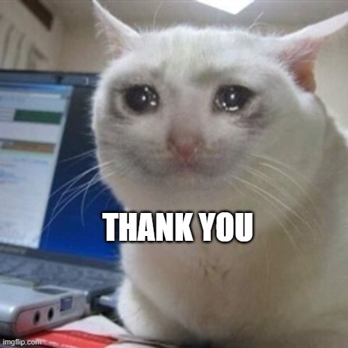 Crying cat | THANK YOU | image tagged in crying cat | made w/ Imgflip meme maker