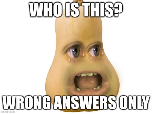 Who is this? | WHO IS THIS? WRONG ANSWERS ONLY | image tagged in annoying orange,squash | made w/ Imgflip meme maker