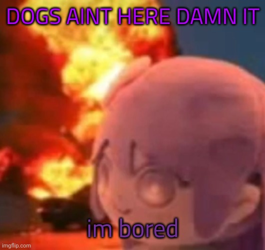 msmg | DOGS AINT HERE DAMN IT; im bored | image tagged in msmg | made w/ Imgflip meme maker