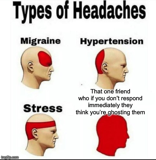 Just me? Anyone? | That one friend who if you don’t respond immediately they think you’re ghosting them | image tagged in types of headaches meme | made w/ Imgflip meme maker