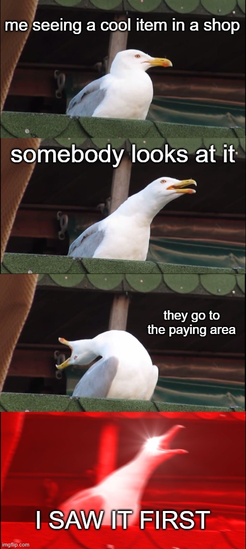 Inhaling Seagull Meme | me seeing a cool item in a shop; somebody looks at it; they go to the paying area; I SAW IT FIRST | image tagged in memes,inhaling seagull | made w/ Imgflip meme maker