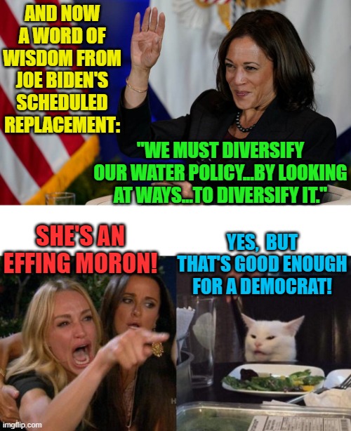 Kamala speaks . . . and the Mainstream Media spins and covers for her. | AND NOW A WORD OF WISDOM FROM JOE BIDEN'S SCHEDULED REPLACEMENT:; "WE MUST DIVERSIFY OUR WATER POLICY...BY LOOKING AT WAYS…TO DIVERSIFY IT."; SHE'S AN EFFING MORON! YES,  BUT THAT'S GOOD ENOUGH FOR A DEMOCRAT! | image tagged in truth | made w/ Imgflip meme maker