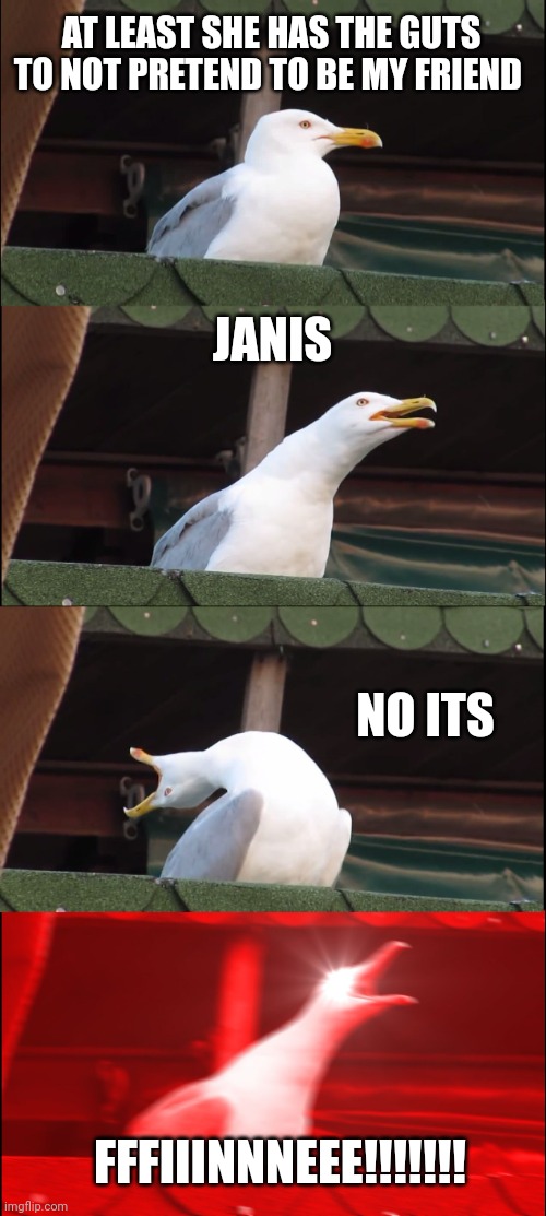 Inhaling Seagull Meme | AT LEAST SHE HAS THE GUTS TO NOT PRETEND TO BE MY FRIEND; JANIS; NO ITS; FFFIIINNNEEE!!!!!!! | image tagged in memes,inhaling seagull | made w/ Imgflip meme maker