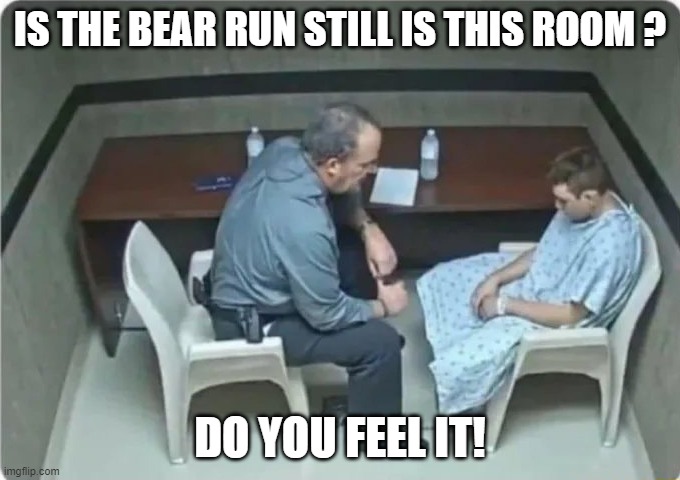 Is the bullrun in the room right now? | IS THE BEAR RUN STILL IS THIS ROOM ? DO YOU FEEL IT! | image tagged in is the bullrun in the room right now | made w/ Imgflip meme maker