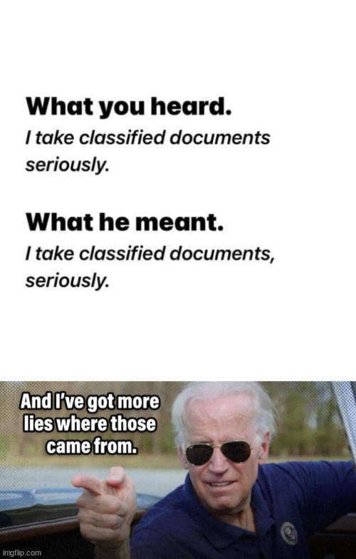 In the end, dementia will be Biden's only defense... | image tagged in i am above the law,joe biden | made w/ Imgflip meme maker
