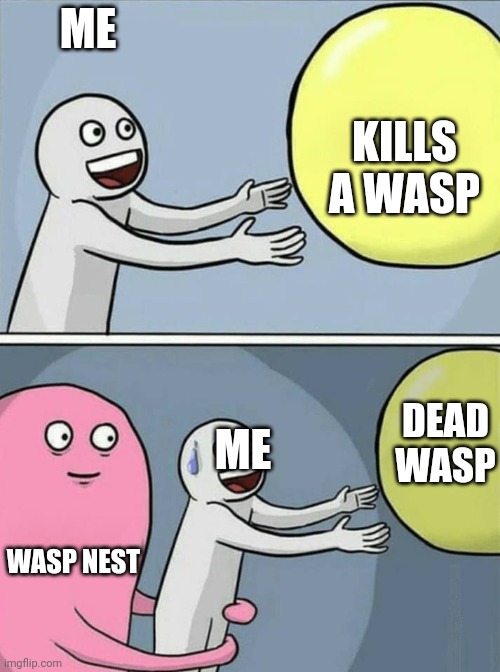 big yellow ball and... | ME; KILLS A WASP; ME; DEAD WASP; WASP NEST | image tagged in big yellow ball and | made w/ Imgflip meme maker