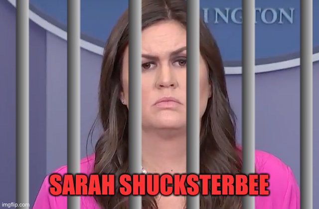 SARAH SHUCKSTERBEE | made w/ Imgflip meme maker