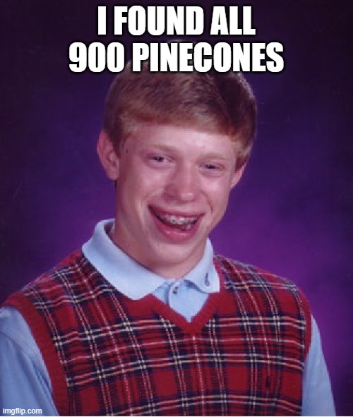 Bad Luck Brian Meme | I FOUND ALL 900 PINECONES | image tagged in memes,bad luck brian | made w/ Imgflip meme maker