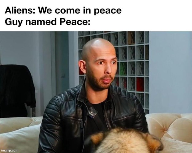Guy named Peace | image tagged in aliens,memes,repost,andrew tate,funny,named | made w/ Imgflip meme maker