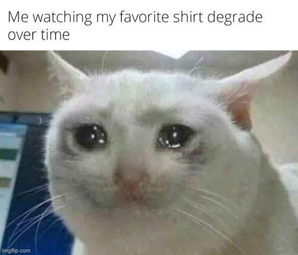 image tagged in cats,memes,funny,repost,shirt,crying cat | made w/ Imgflip meme maker