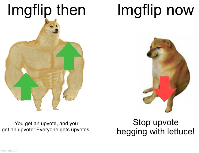 Why did it have to change so much? |  Imgflip then; Imgflip now; You get an upvote, and you get an upvote! Everyone gets upvotes! Stop upvote begging with lettuce! | image tagged in memes,buff doge vs cheems | made w/ Imgflip meme maker