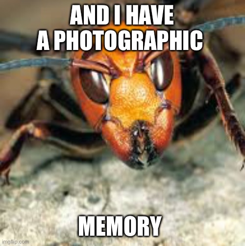 AND I HAVE A PHOTOGRAPHIC MEMORY | made w/ Imgflip meme maker