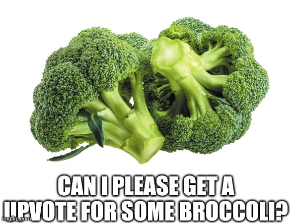 Broccoli | CAN I PLEASE GET A UPVOTE FOR SOME BROCCOLI? | image tagged in broccoli | made w/ Imgflip meme maker