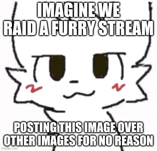 dunno | IMAGINE WE RAID A FURRY STREAM; POSTING THIS IMAGE OVER OTHER IMAGES FOR NO REASON | image tagged in that one furry image | made w/ Imgflip meme maker