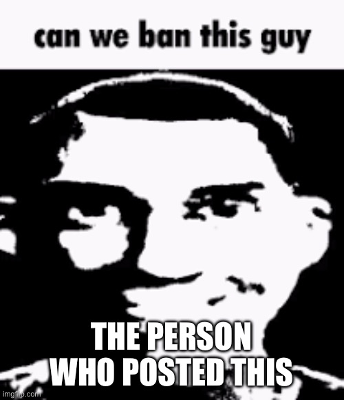 Wait... | THE PERSON WHO POSTED THIS | image tagged in can we ban this guy | made w/ Imgflip meme maker