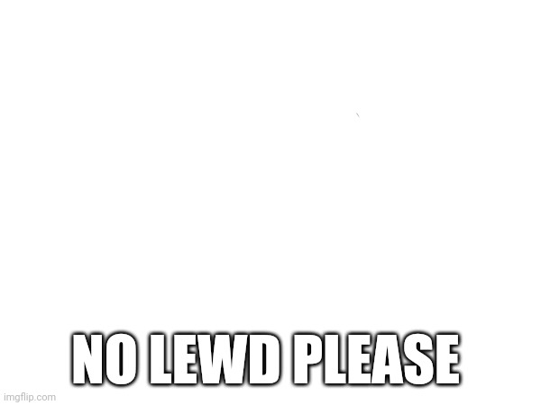 NO LEWD PLEASE | image tagged in no,lewd,please | made w/ Imgflip meme maker