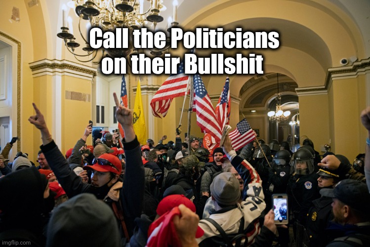 rioters inside capitol january 6 | Call the Politicians on their Bullshit | image tagged in rioters inside capitol january 6 | made w/ Imgflip meme maker