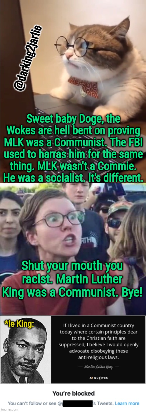 Truth is racist | @darking2jarlie; Sweet baby Doge, the Wokes are hell bent on proving MLK was a Communist. The FBI used to harras him for the same thing. MLK wasn't a Commie. He was a socialist. It's different. Shut your mouth you racist. Martin Luther King was a Communist. Bye! *le King: | image tagged in research cat,mlk,communism,socialism,america,liberal logic | made w/ Imgflip meme maker
