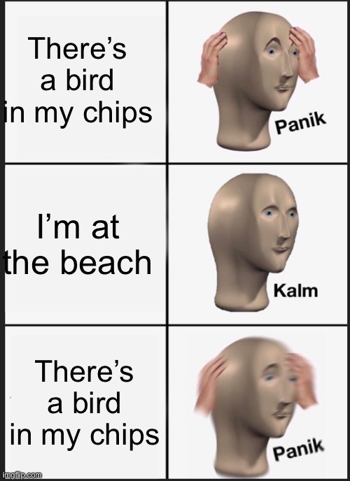 Panik Kalm Panik Meme | There’s a bird in my chips; I’m at the beach; There’s a bird in my chips | image tagged in memes,panik kalm panik | made w/ Imgflip meme maker