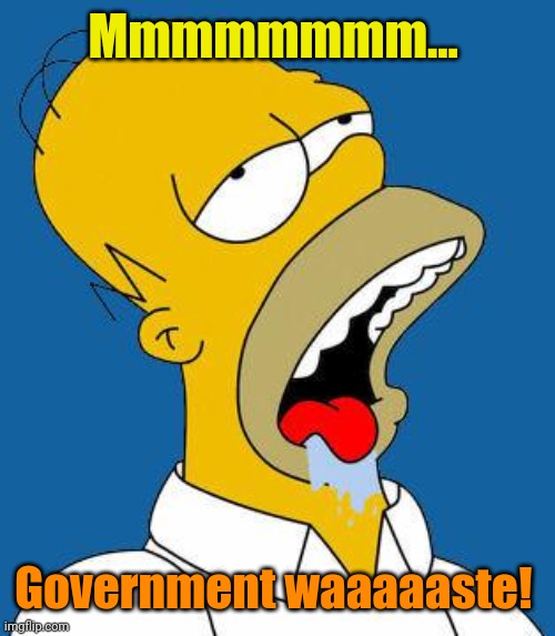 Homer Drooling | Mmmmmmmm... Government waaaaaste! | image tagged in homer drooling | made w/ Imgflip meme maker