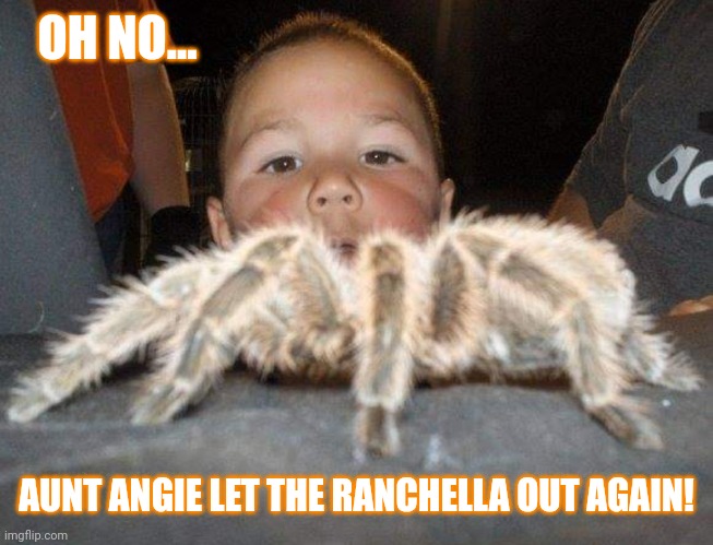 OHNO IT'S A RANCHELLA!!!! | OH NO... AUNT ANGIE LET THE RANCHELLA OUT AGAIN! | image tagged in ranchella | made w/ Imgflip meme maker