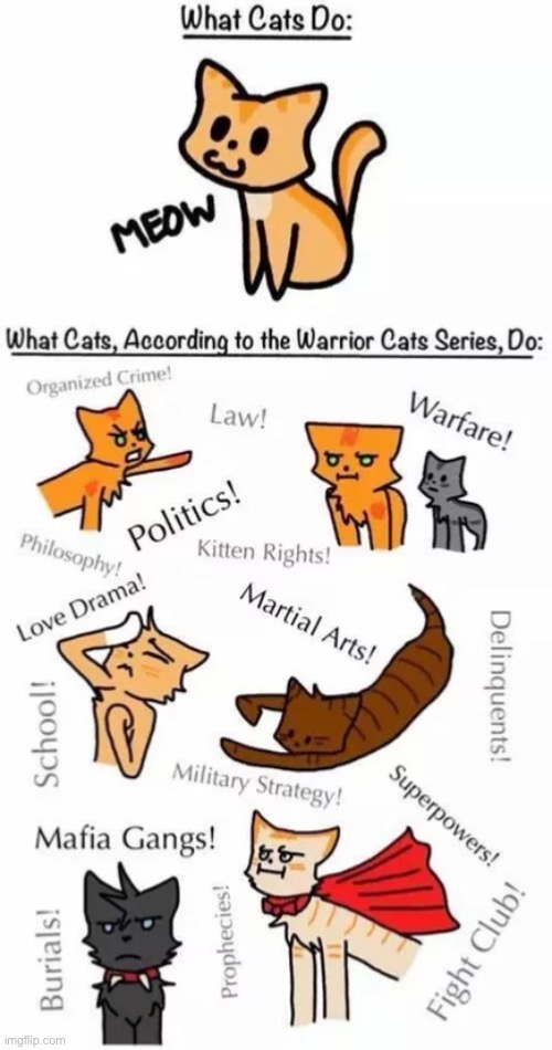 Meow Name Generator in 2023  Warrior cats funny, Warrior cats