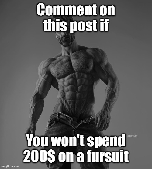 n | Comment on this post if; You won't spend 200$ on a fursuit | image tagged in giga chad | made w/ Imgflip meme maker