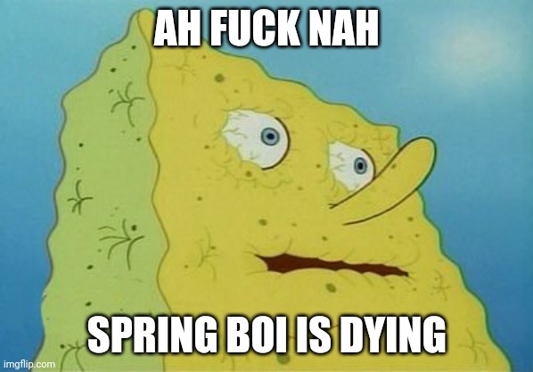 Dehydrated SpongeBob | AH FUCK NAH SPRING BOI IS DYING | image tagged in dehydrated spongebob | made w/ Imgflip meme maker