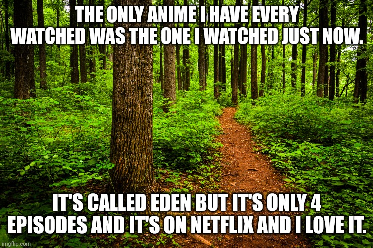 It needs to be more then 4 episodes | THE ONLY ANIME I HAVE EVERY WATCHED WAS THE ONE I WATCHED JUST NOW. IT'S CALLED EDEN BUT IT'S ONLY 4 EPISODES AND IT'S ON NETFLIX AND I LOVE IT. | image tagged in forest path | made w/ Imgflip meme maker