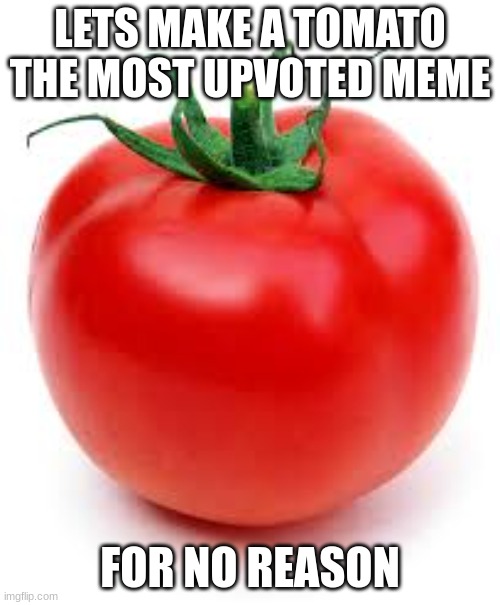 This fruit not veggie. | LETS MAKE A TOMATO THE MOST UPVOTED MEME; FOR NO REASON | image tagged in tomato | made w/ Imgflip meme maker